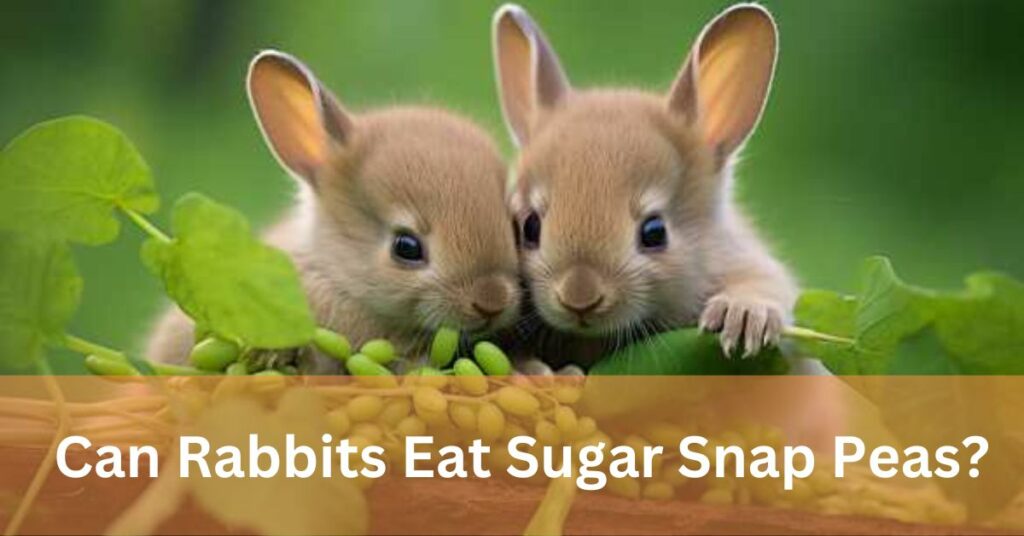 Can Rabbits Eat Sugar Snap Peas