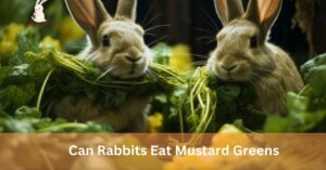 Can Rabbits Eat Mustard Greens