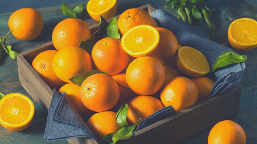 Types Of Oranges To Feed Your Rabbit