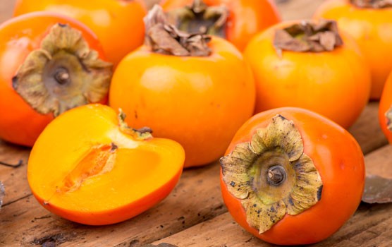 When Should I Introduce Persimmons To My Rabbit's Diet